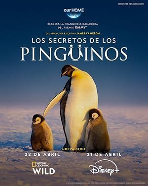 Secrets of the Penguins (2025)
